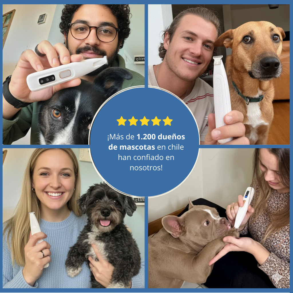 Petyou™ para casa y silencioso